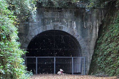 旧加茂坂トンネルの写真