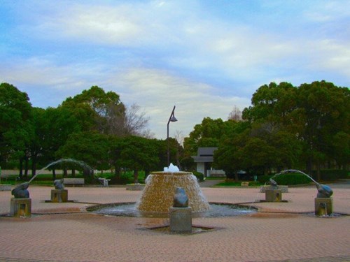 水元公園の写真