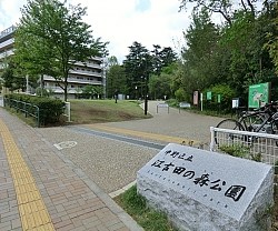 江古田の森公園の写真
