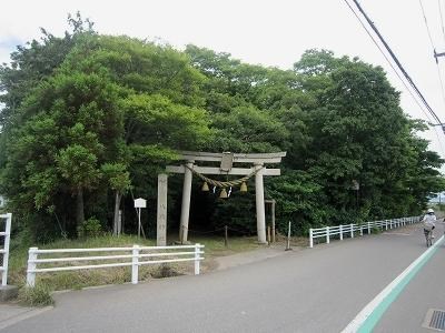 天狗の森（八坂神社）の写真