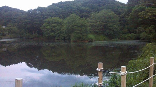【新潟県】秋葉湖の画像
