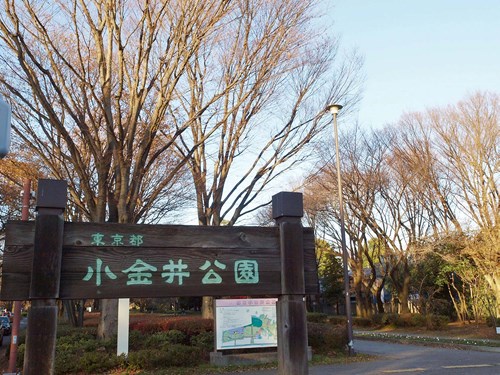 【東京都】小金井公園の画像