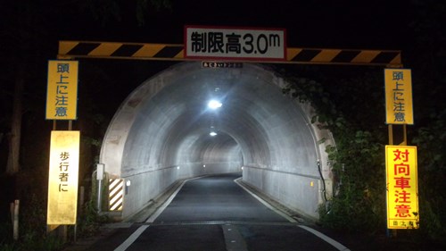 紫陽花トンネルの写真