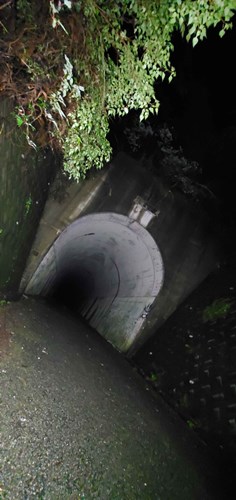 【大阪府】梨の木隧道の画像