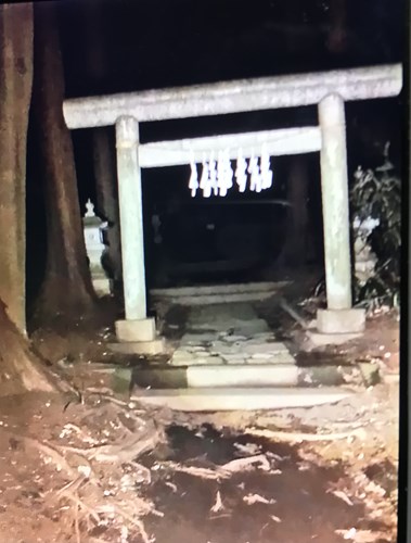 【所沢市】桜木神社の画像