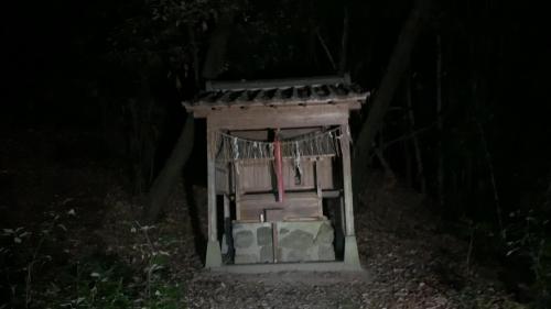 【京都府】諏訪神社付近の雑木林の画像