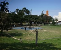 【那覇市】緑が丘公園の画像