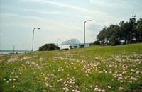 【東京都】若洲海浜公園の画像