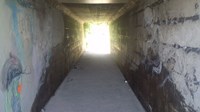 【新潟県】少女絵トンネルの画像