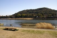 【高知市】筆山公園の画像