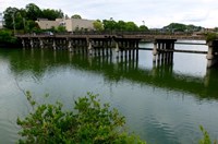 【奈良県】大渕池の画像