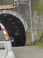 【諏訪郡下諏訪町】旧和田峠トンネルの画像