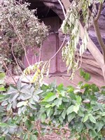 【三浦市】神奈川県三浦市金田の洞窟要塞の画像