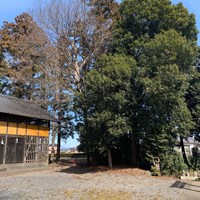 【深谷市】八幡神社の画像