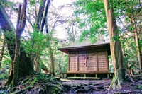 【大島町】波治加麻神社の画像