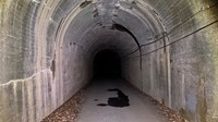 【西多摩郡奥多摩町】海沢隧道の画像