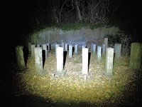【神奈川県】官修墓地の画像