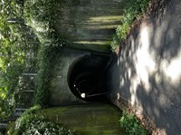 【神奈川県】千駄トンネルの画像