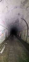 【大阪府】梨の木隧道の画像