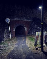 【埼玉県】本川俣のお化けトンネルの画像