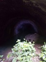 【彦根市】旧佐和山トンネルの画像