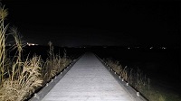 【京都府】流れ橋の少女の画像