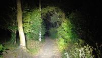 【神奈川県】ウィトリッヒの森の画像