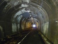 【熊野市】土場隧道の画像