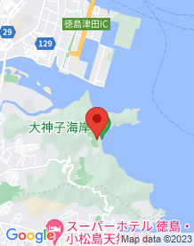 【徳島県】大神子海岸の画像