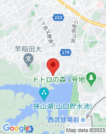 【所沢市】狭山湖の地図にない道の画像