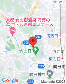 【京都市】洛西竹林公園の画像