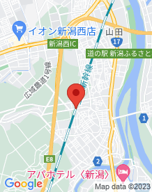 【新潟市西区】鳥原新幹線高架下の十字路の画像