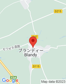 【フランス】Castle of Blandy (Château de Blandy)の画像