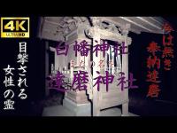 【心霊】失われた達磨と目撃される女性霊～達磨神社(白幡神社)【ゲッティ】-Japanese haunted places-