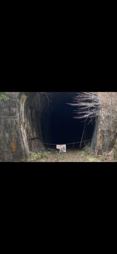 廃トンネル - 心霊写真
