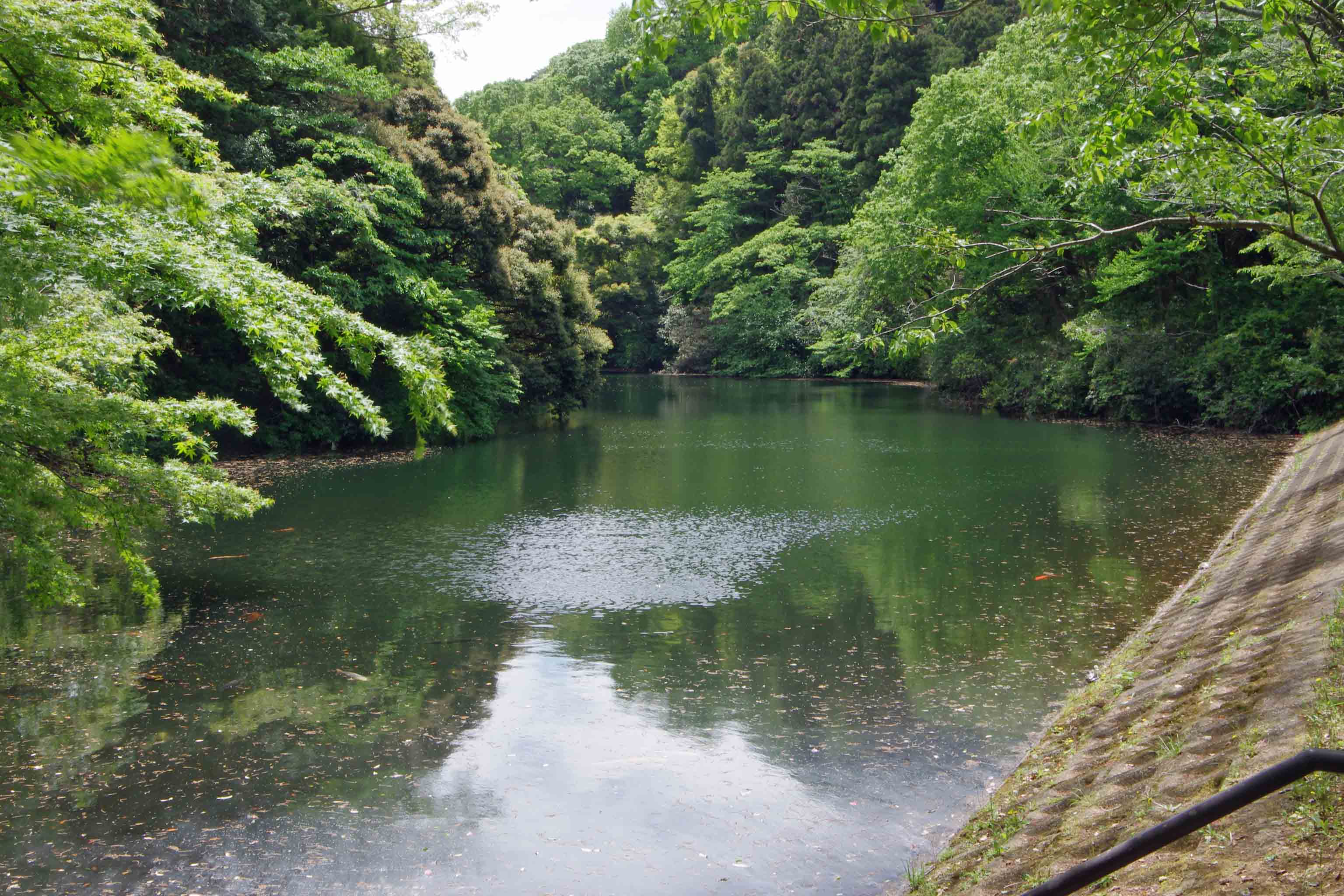 散在ガ池森林公園(鎌倉湖)