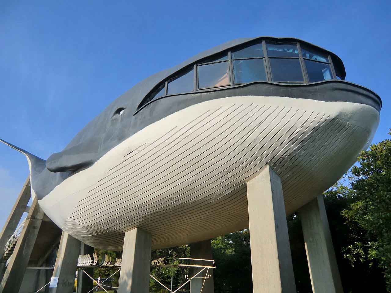 クジラかん(旧下関市立水族館)