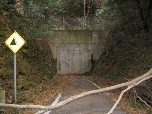 旧童学寺トンネル（石井トンネル）
