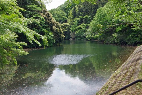 散在ガ池森林公園(鎌倉湖)