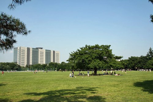 【東京都】武蔵野中央公園の画像