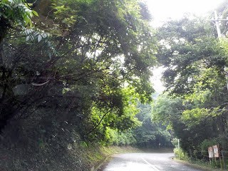 【神奈川県】黄泉の森の画像