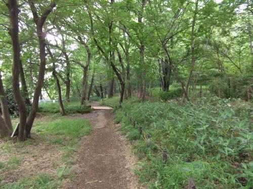 【東京都】黒川清流公園の画像