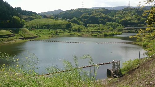 【佐賀県】河内ダムの画像