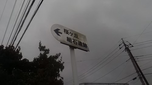 【埼玉県】桜ヶ丘組石遺跡の画像