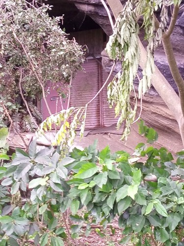 【神奈川県】神奈川県三浦市金田の洞窟要塞の画像