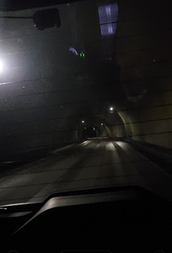 さくらトンネルの写真