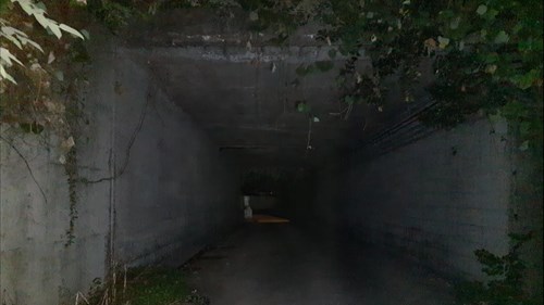 【新潟市】黒埼インター下のトンネルの画像