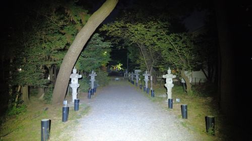 【神奈川県】鶴嶺八幡宮の画像