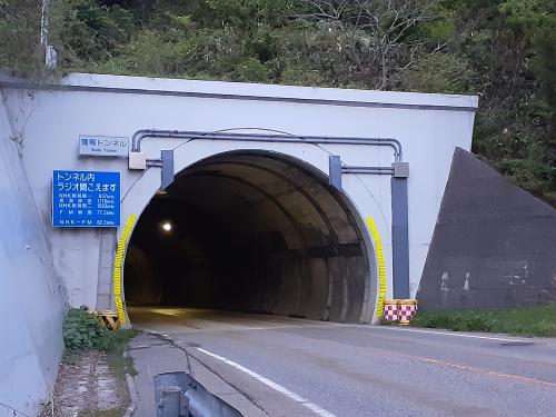 【村上市】葡萄トンネルの画像