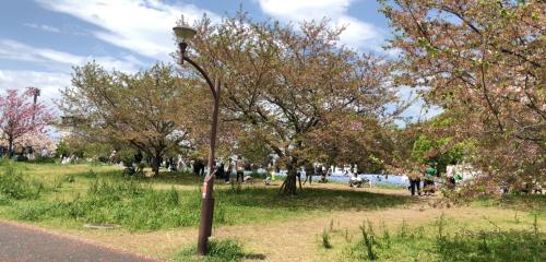 【東京都】舎人公園の画像